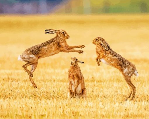 Brown Hares Boxing paint by number