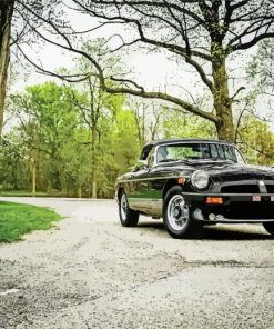 Classic Black Mgb paint by number