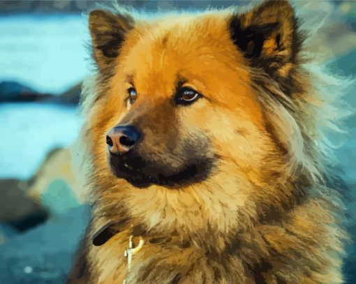 Close Up Eurasier Dog paint by number