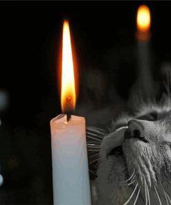 Close Up Cat And A Candle paint by number
