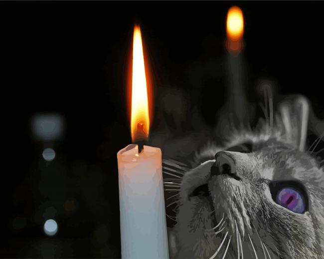 Close Up Cat And A Candle paint by number