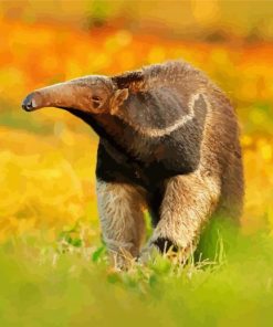 Cute Anteater In Forest paint by number