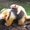 Cute Anteaters paint by number