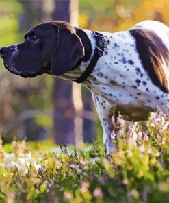 Cute English Pointer paint by number