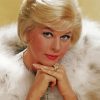 Doris Day American Actress paint by number