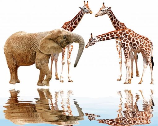 Elephant With Giraffes Reflection paint by number