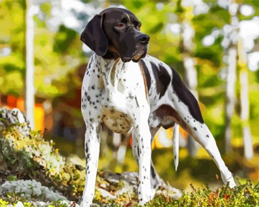 English Pointer Dog paint by number
