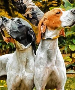 English Pointer Puppies paint by number