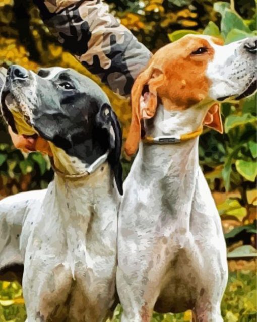 English Pointer Puppies paint by number