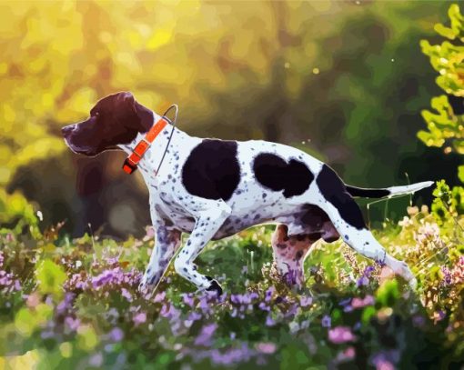 English Pointer Puppy paint by number