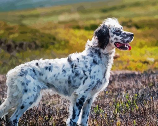 English Setter Dog paint by number