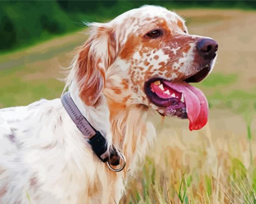 English Setter Puppy paint by number