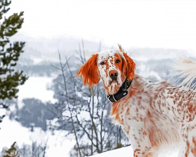 English Setter In The Snow paint by number