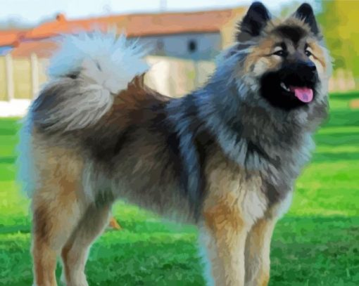 Eurasier Dog paint by number