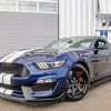 Ford Shelby GT350 Car paint by number