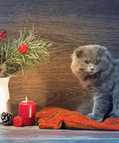 Grey Cat And Red Candle paint by number