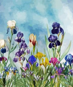 Iris Field paint by number