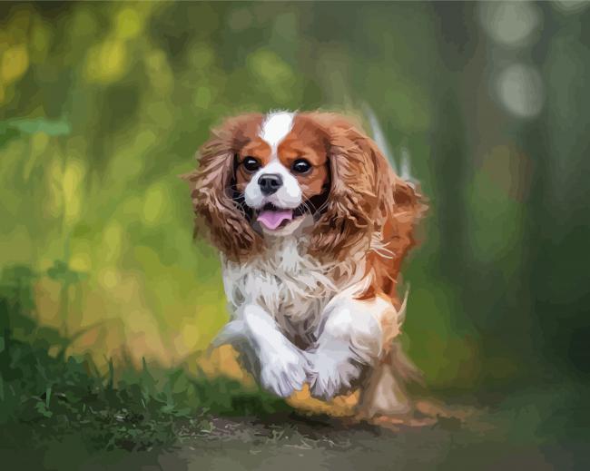 King Charles Cavalier Paint by number