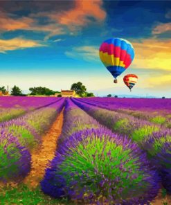 Lavender Field Hot Air Balloons paint by number