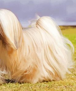 Lhasa Apso Dog paint by number