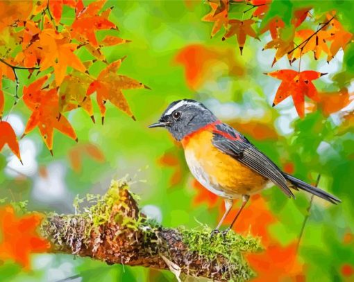 Lovely Robin In Autumn paint by number