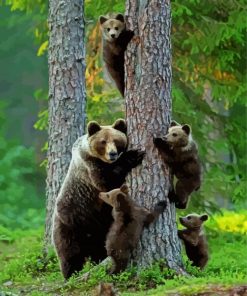 Mama Bear And Babies Animals paint by numbers