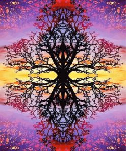 Mystical Tree Reflection paint by number