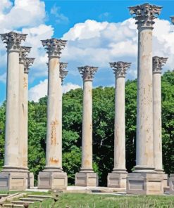 National Arboretum Columns United States paint by number