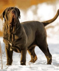 Neapolitan Mastiff In Snow paint by number