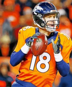 Peyton Manning American Football Player paint by number