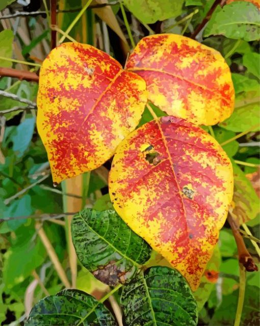 Poison Ivy In Autumn paint by number