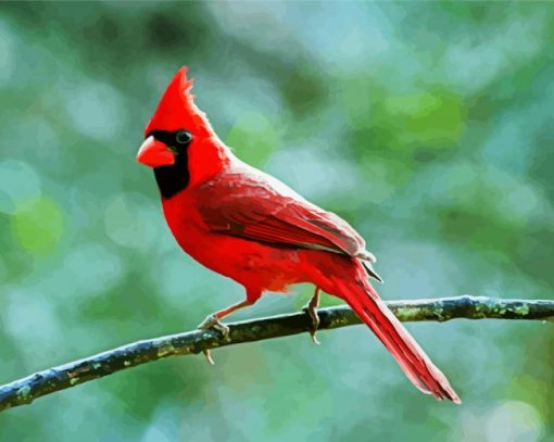 Red Bird paint by number