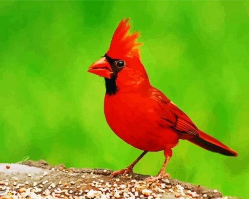 Red Northern Cardinal Bird paint by number