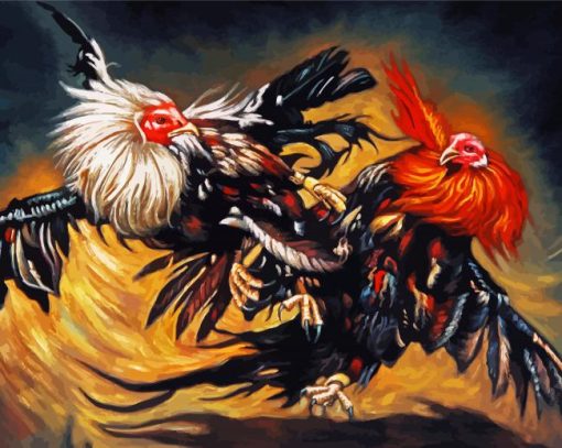 Rooster Fighting Art paint by number