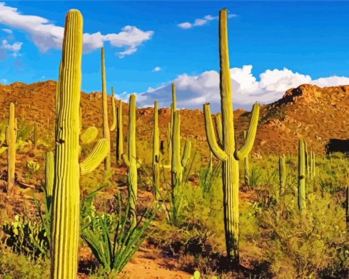 Saguaro Cactus Plant In Desert paint by number