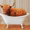 Scottish Cow In Bathtub paint by numbers