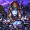 Sylvanas Windrunner Characters paint by number
