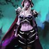 Sylvanas Windrunner Warcraft Serie paint by number