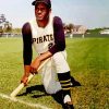 The Baseball Player Roberto Clemente paint by number