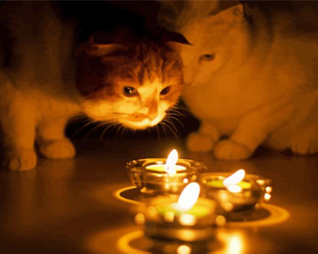 The Beautiful Cats And A Candle paint by number