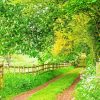 The Beautiful English Countryside paint by number