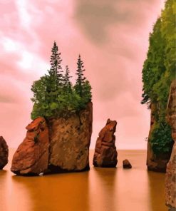 The Best Of The Bay Of Fundy paint by number