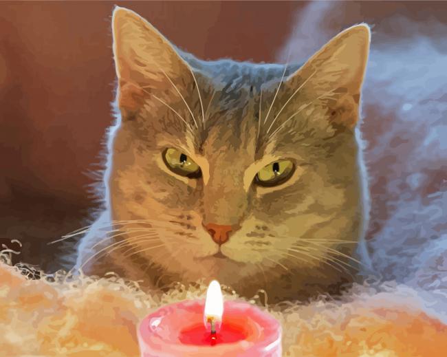The Cat Smelling Candle paint by number