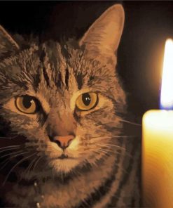 The Cat And A Candle paint by number