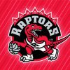 Toronto Raptor Logo paint by number