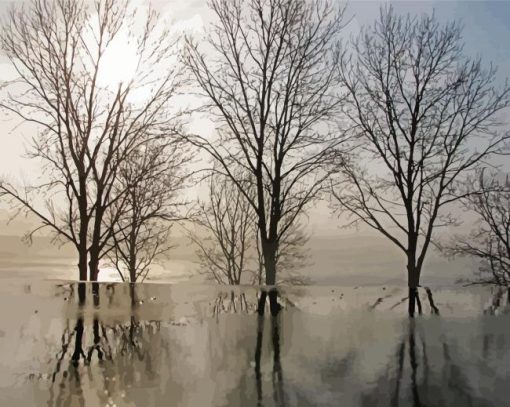Trees Winter Reflections paint by number