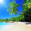 Tropical Beach Scene paint by number