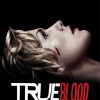 True Blood Poster paint by number
