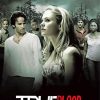 True Blood Movie Poster paint by number
