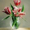 Tulips In Glass Vase paint by numbers